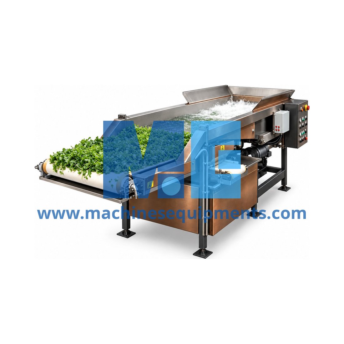 Vegetable and Fruit Washing Line — Food Processing Plants