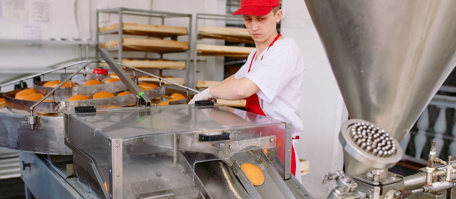 Food Processing Machine