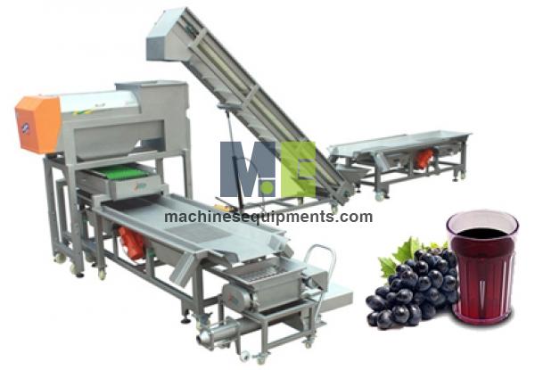 Food Grape Beverage Processing Plant
